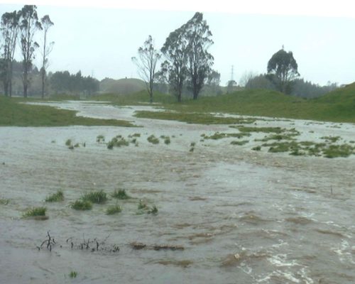 Ephemeral Waterway During Storm Event