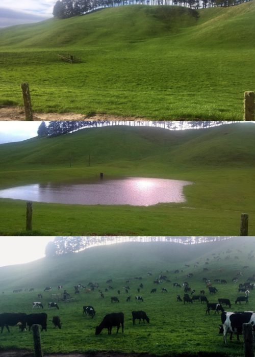 Before During and After Rainfall - Detainment Bund Consultancy